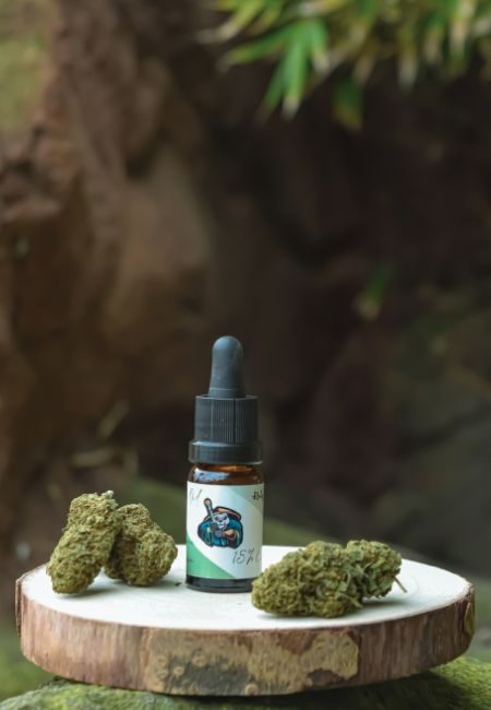 Holy-Seed-CBD-tarragona Holy Seed CBD Tarragona